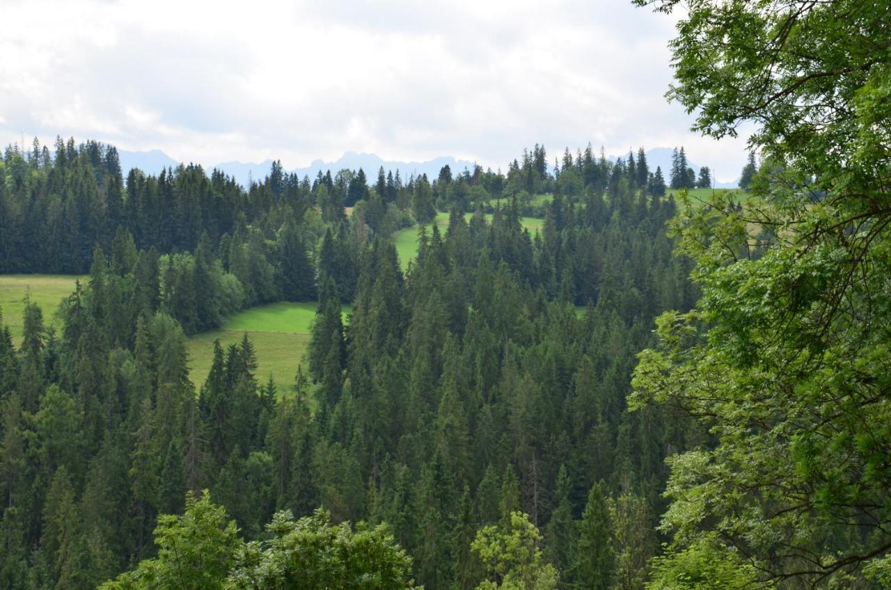 U Lassakow Poronin Esterno foto